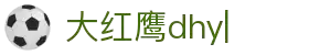 大红鹰dhy(中国)有限公司官网